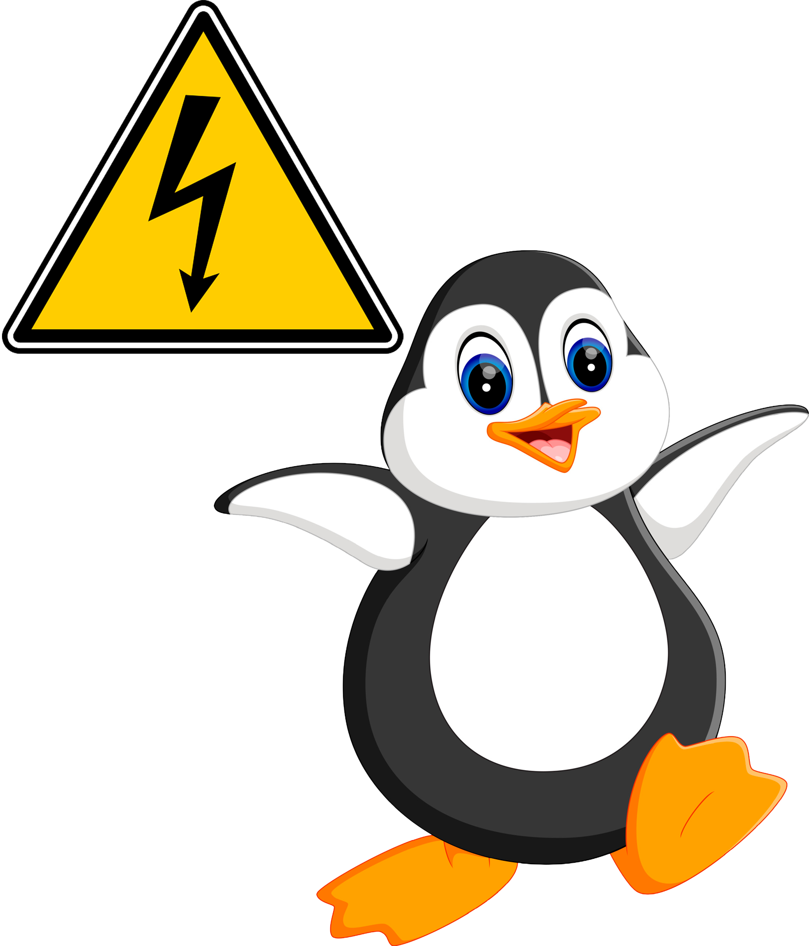 Pingüi Energía